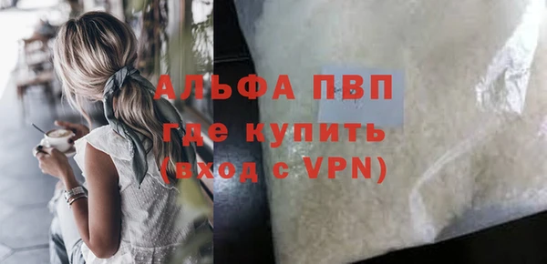 прущие грибы Белокуриха