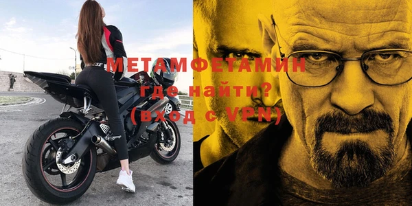 прущие грибы Белокуриха