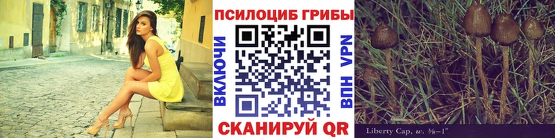Псилоцибиновые грибы мицелий  наркошоп  Соль-Илецк 