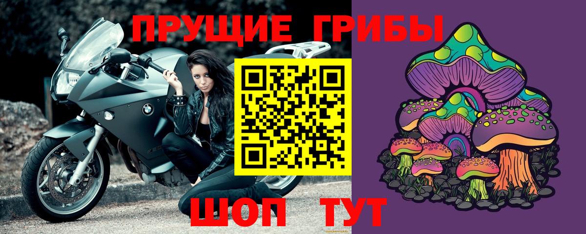 Соль-Илецк  Галлюциногенные грибы Psilocybine cubensis  хочу наркоту  Вход с VPN 